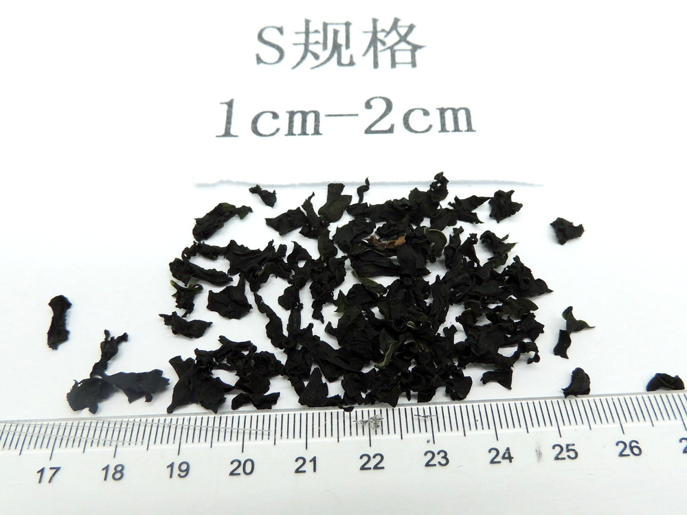  干燥裙带菜40g包装