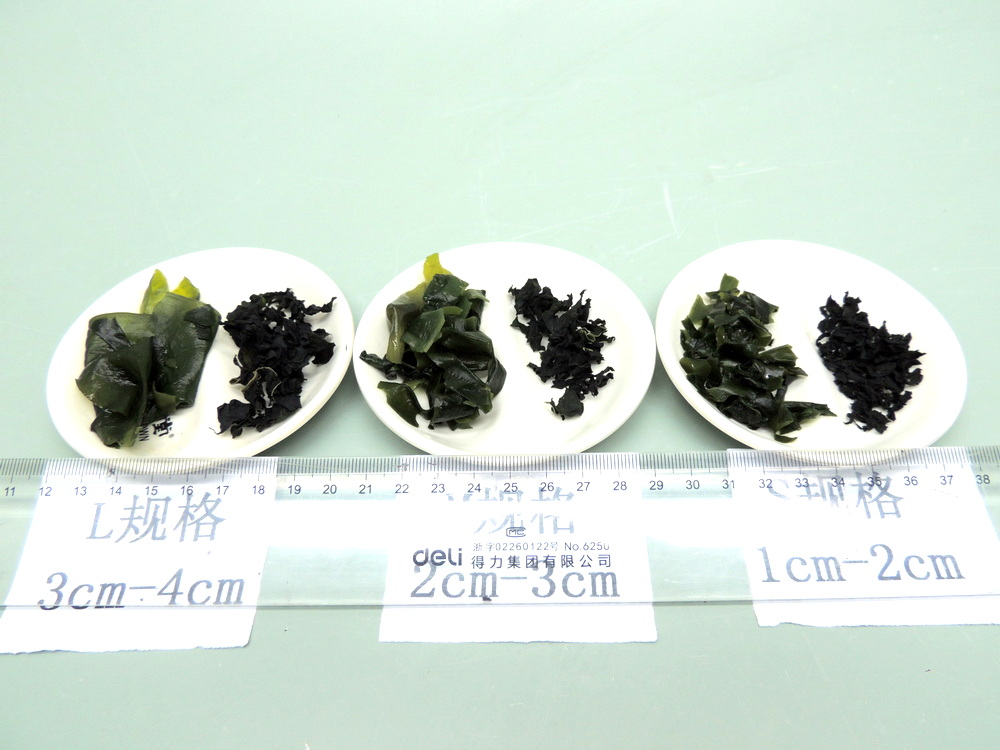 LMS三种规格浸泡干燥对比.JPG